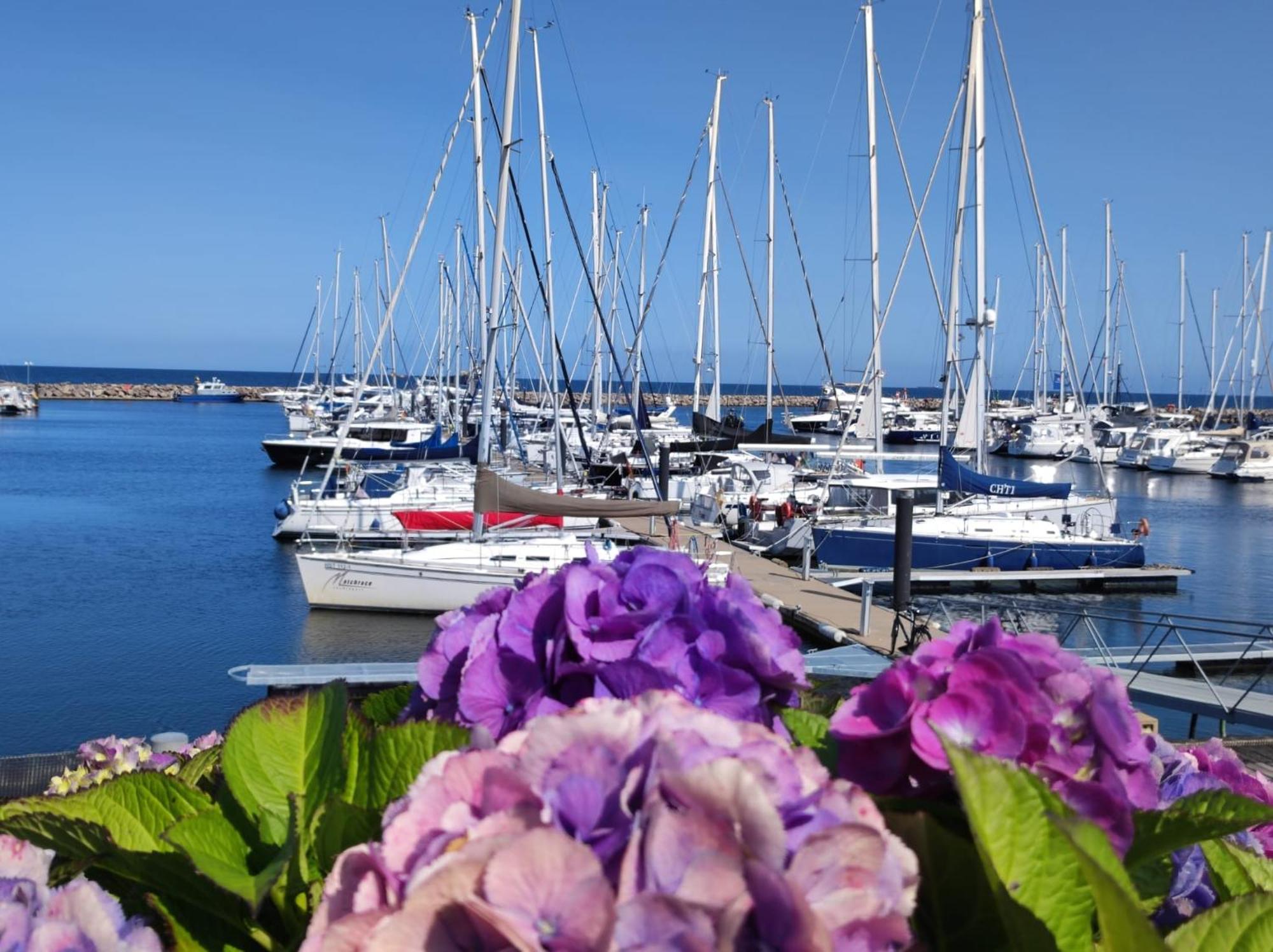 Ferienwohnung Admiral Ostseebad Kühlungsborn エクステリア 写真